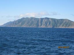 pic-20